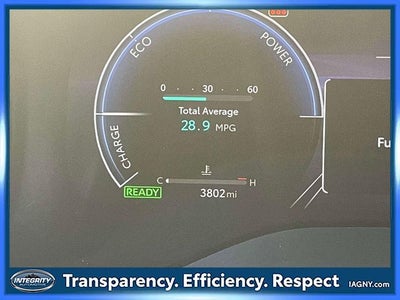 2025 Toyota Sienna XSE 7 Passenger