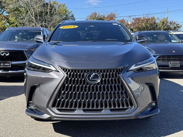 2025 Lexus NX 450h+ Luxury