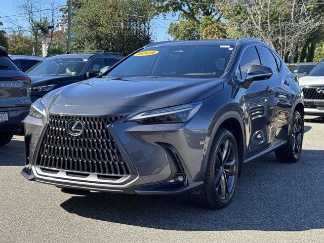 2025 Lexus NX 450h+ Luxury