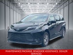 2025 Toyota Sienna XLE 8 Passenger