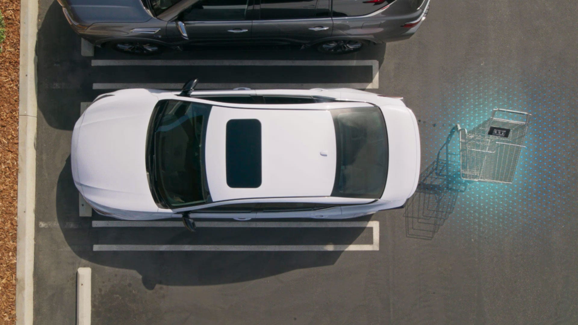 2026 Nissan Altima | Nissan City of Port Chester in Port Chester, NY