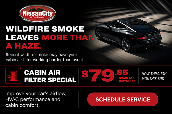Air Cabin Filter